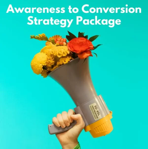 A complete funnel strategy that walks businesses through building awareness and guiding customers through to conversion using a mix of content and paid ads.